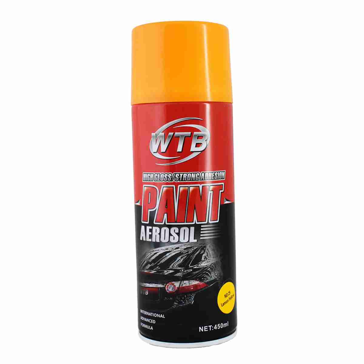 WTB Car Paint